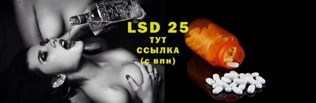 ПСИЛОЦИБИНОВЫЕ ГРИБЫ Абдулино