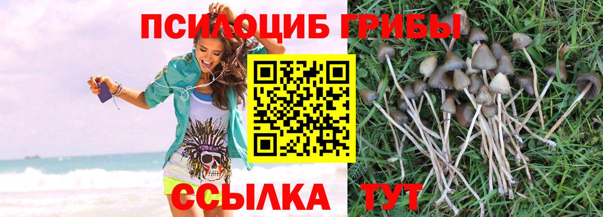Галлюциногенные грибы ЛСД  Вход с VPN  Туапсе 