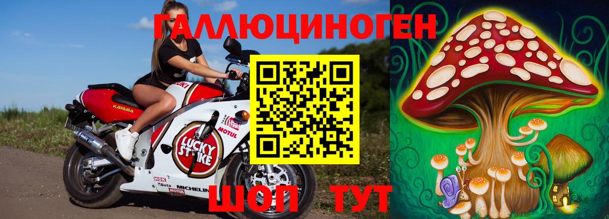 Галлюциногенные грибы прущие грибы Туапсе